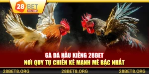 Gà Đá Hầu Kiềng 28BET – Nơi Quy Tụ Chiến Kê Mạnh Mẽ Bậc Nhất