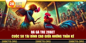 Đá Gà Tre 28BET – Cuộc So Tài Đỉnh Cao Giữa Những Thần Kê