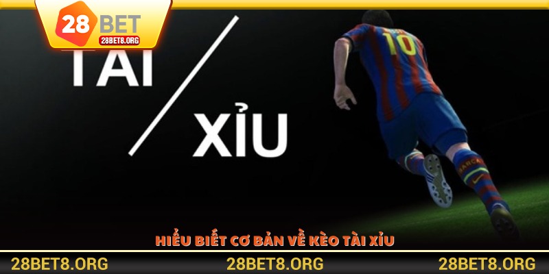 Hiểu biết cơ bản về kèo tài xỉu
