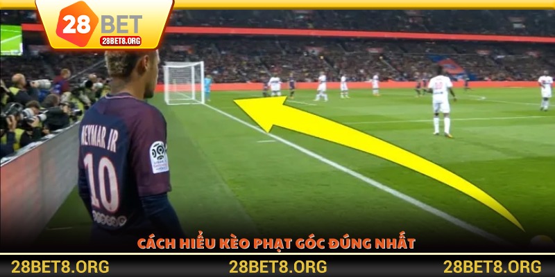 Cách hiểu kèo phạt góc đúng nhất