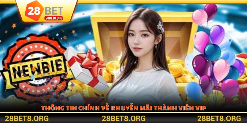 Thông tin chính về khuyến mãi thành viên VIP