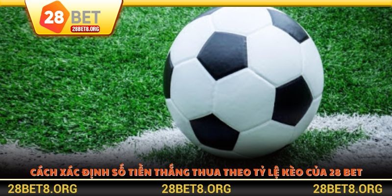 Cách xác định số tiền thắng thua theo tỷ lệ kèo của 28 BET